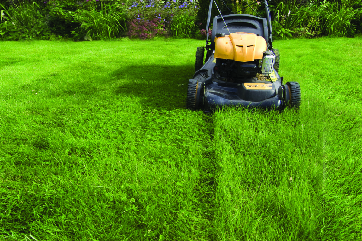 lawn mowing sunbury lawn care sunbury