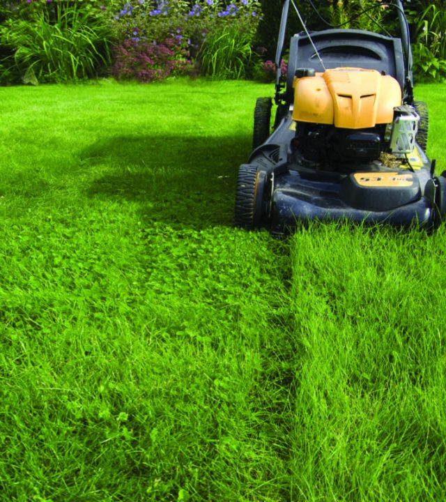 Lawn care Sunbury |one-off lawn mowing sunbury » Reghon Mowing